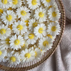 شمع دست ساز بابونه - بسته 12 عددی