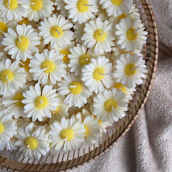 شمع دست ساز بابونه - بسته 12 عددی