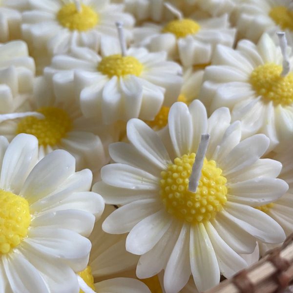 شمع دست ساز بابونه - بسته 12 عددی
